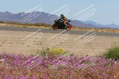 media/Mar-12-2023-SoCal Trackdays (Sun) [[d4c8249724]]/Turn 15 Inside Bloom (130pm)/